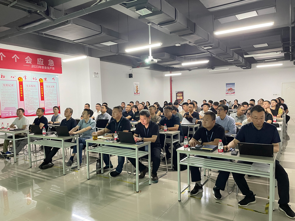 ks凯时微电召开2024年上半年销售会议